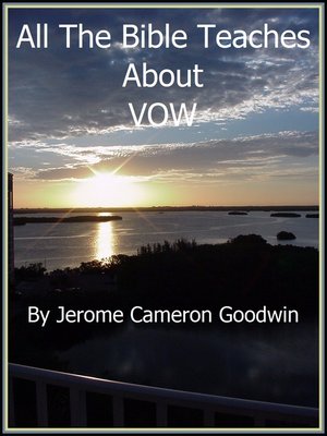 cover image of VOW